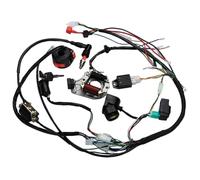 Bobine D'allumage Stator Magneto pour Moto Magnéto Stator Bobine 1 Ensemble Complet Électrique Faisceau De Câblage Étincelle Solénoïde Relais Stator
