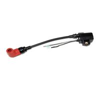 Bobine D'allumage Stator pour 2 Temps 100 115 150 175 200 225HP Bobine D'allumage Pack Bobines D'allumage Moteur Moto Bobine D'allumage Allumage Magnéto