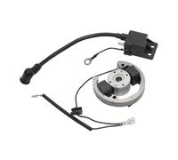 Bobine d'allumage stator pour Mini-Moto 50 SX 50cc, Accessoires, Bobine d'allumage et Rotor stator magnéto