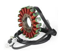 Bobine D'allumage Stator pour Tri&iumph pour Tiger 800 pour Tiger 800 XC pour Tiger 800 Bobine De Stator De Moto pour Bobine De Stator De Générateur Magnéto T1305965 Allumage Magnéto