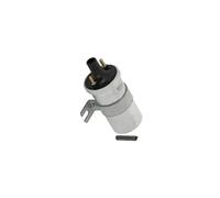 Bobine d'allumage Version de raccord dent de scie ZS570 BorgWarner (BERU)