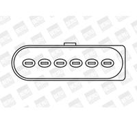 Bobine d'allumage Version de raccord dent de scie ZSE029 BorgWarner (BERU)