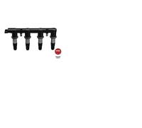 NGK 49076 Bobine d'allumage