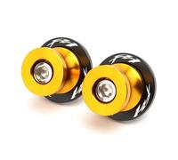 Bobine de bras oscillant Pour Y&ama&ha Fz1 2006-2015 FZ6 2004-2016 FZ8 2010-2018 CNC Bras Oscillant Bobines Curseur Vis Support 6MM Accessoires Fz1s Fz6n(Gold8)
