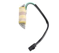 Bobine de charge pour moteur hors-bord en fer, bobine de charge facile à installer pour moteur de bateau DT 25 à 30HP 32140 96310