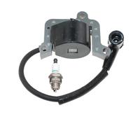 Bobine de Module d'allumage Compatible avec 088 Ms880 1124 400 1301 (Ancienne Version avec Trois Trous de vis)