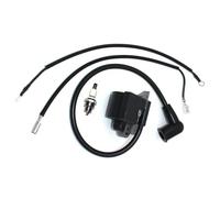 Bobine de Module d'allumage pour Poulan PP4018 PB1634LE PPB1838LE S1634LE S1634 pour Snapper S1838LE S1838 S1970 SM408