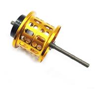 Bobine de moulinet de pêche pour modèles DAIWA, capacité de 0 8 YGK 100 m avec frein SV, design léger pour un meilleur confort de pêche (doré)