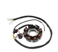 Bobine de stator 1P6-H1410-01 Bobine De Stator Magnéto pour Moto pour Y-AMAHA TTR50 TT-R50 2006 2007 2008 2009 2010-2020 1P6-H1410-00