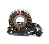 Bobine de stator 31401-01D10Bobine De Stator Magnéto pour Moto pour Suzuki GS500, GS500F, GS500H, 2001, 2002, 2003, 2004, 2005, 2006, 2007, 2008, 2009, 2010, 2011