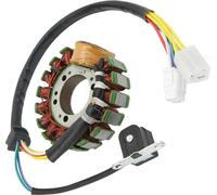 Bobine de stator 4BD 85510 20 00 Faible perte magnétique ATV Magnéto de remplacement pour YFB250 Timberwolf 1994 -2000