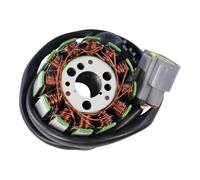 Bobine de stator Bobine De Stator Magnéto pour Moto, Accessoires pour Y-AMAHA FZS1, YZF R1 1000, FZ1, FZ1-N pour Fazer
