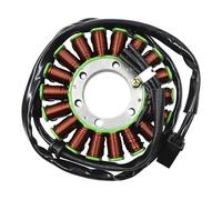 Bobine de stator Bobine Stator Générateur Moto pour Triumph pour Vitesse pour Triple 1050 pour Tiger 1050 SE 1050SE pour Sport pour Sprint pour ST1050 Alternateur stator