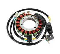 Bobine de stator compatible avec les modèles Massimo UTV T-BOSS 550 550X 550F 560 et 550 ATV numéro de pièce 35334