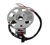Bobine de stator d'allumage 50cc Compatible avec Les pièces de Moto Automobile MBK 50 Fizz 50 Flipper 50 50 Mach R 50 Ovetto 50 Sorriso 50 Target 50