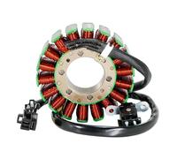 Bobine de stator d'allumage de moto pour SC250 pour Epsilon pour OEM: 21003-S009