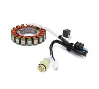Bobine de stator de générateur compatible avec Supermarch Excalibur 700 700cc UTV Menards Yardsport YS700 Bennche Bighorn Cowboy Grey Wolf 500 700