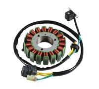 Bobine de Stator de générateur d'allumage de moto Compatible avec TGB 250 TGB 325 TGB 325 part