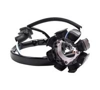 Bobine de stator de générateur de moto compatible avec Honda CRF250 CRF250R 250R 2004-2009 CRF450 CRF450R 2008 31120-KRN-670 31120-MEN-A11