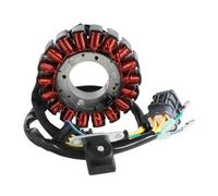Bobine de stator de générateur de Moto Compatible avec Les pièces de Moto Automobile Adly ATV 300U II 300XS Assault 300 Hurricane Interceptor Crossroad Sport pour numéro de pièce 31120-169-001