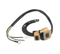 Bobine de stator de générateur pour moteurs hors-bord Mercury 6/8/9.9/10/15/18/20/25/35/40 pour moteurs hors-bord HP 2 cylindres 1981-1997 pièce de rechange 86617A20 174-6617K1
