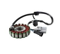 Bobine de stator de magnéto, Bobine de stator de générateur pour TNT25, BN251, TRK251, pour LEONCINO250 / BN TNT TRK, pour LEONCINO 25/250 / 251