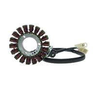 Bobine de stator de magnéto, carburateur Electrojet EFI, Bobine d'allumage, générateur de stator pour TNT150, TNT150i, BJ150-29, BJ150-29A, BJ150-29B, TNT BJ 150