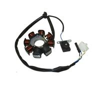 Bobine de stator de magnéto Compatible avec Les Moteurs GY6 49cc et 50cc. Pièces et Accessoires pour Motos, cyclomoteurs et Scooters Sunl Roketa. Joint de stator de magnéto Inclus.