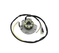 Bobine De Stator De Magnéto De Moto pour GASGAS EC125 XC125 2001 MC250034005 Accessoires De Remplacement 1x Stator Allumage