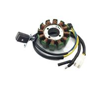 Bobine de stator de magnéto, pièces et Accessoires pour Motos, Bobine de stator 12 pôles, Joint de Bobine de stator, Compatible avec Les modèles CG 200cc, 250cc, 140W et 160W.