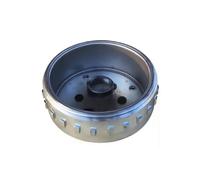 Bobine de stator de magnéto pour Injection de Carburant, Ensemble magnéto, Rotor, stator, Volant Moteur, Bobine d'alternateur pour Moto GY6125 GY6 125 150cc 152QMI 157QMJ