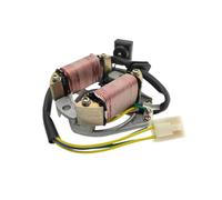 Bobine de stator de magnéto pour Motos DY100 AC 2 50cc 90cc 110cc 125cc pour quads, Scooters Tout-Terrain, Karts, Buggies, Bobine d'allumage, générateur de stator
