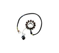 Bobine de stator de moto 8/12 pôles, générateur d'allumage for moteur CBS300 ZS174MN-3 NB300 ZS174MN-5, pièces et accessoires(12 Poles)