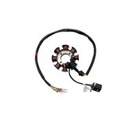 Bobine de stator de moto 8/12 pôles, générateur d'allumage for moteur CBS300 ZS174MN-3 NB300 ZS174MN-5, pièces et accessoires(8 Poles)