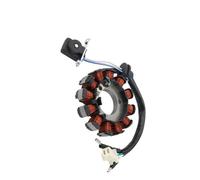 Bobine de stator de moto Compatible Avec CBF125 2008 2009 2010 2011 2012 2013 2014 2015 Bobine De Stator Magnétique Pour Moteur De Moto Oem 31120-KWF-941