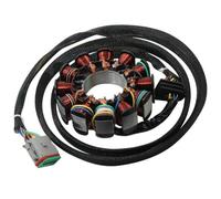 Bobine de Stator de moto Compatible avec FICHT FFI I VIRAGE TXI VIRAGE I MSX 140