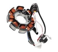 Bobine de stator de moto Compatible Avec Yamaha Pour YBR125ED 2005-2006 Pour YBR125ESD 2008-2012 Pour XT125R 2007-2008 Bobine De Stator Magnétique De Moto,