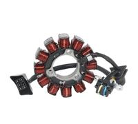 Bobine de stator de moto pour CRF250 pour CRF250R Pour OEM:31120-K95-A21 Pour OEM:31120-K95-A41