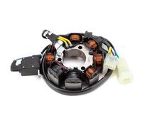Bobine De Stator De Moto Pour H&on&da TRX250, TRX250TE 250 ES, TRX 250 Recon TE TM, TRX250EX 250 EX 31120-HM8-004