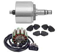 Bobine de stator en caoutchouc pour moteur de moto, cylindre magnétique, rotor, compatible avec YAMAHA FZ8, FZ8N, Fazer 800, FZ8S, FZ1, FZ1N, FZ1S(1 Set)