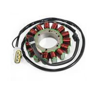 Bobine De Stator Générateur Magnéto Moto Accessoires Pour Tiger 800 XC Pour XCA Pour XRT T1300043 Allumage Bobine
