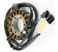 Bobine De Stator Générateur Moteur Magnétique pour Suzuki VS600 VS750 VS800 Intruder 800 750 600 32101-45C30 VX800 32101-38A10