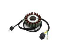 Bobine de stator magnéto for Moto 250 325 Target 325 923706