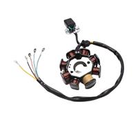 Bobine de stator magnéto pour allumage de Moto, Plaque magnéto 8 bobines 3 Trous pour 125cc 150cc 250cc pour Zongshen CG Dirt Quad, ATV, Go Kart Sunl