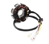 Bobine De Stator Moto pour Husqvarna TE250 TE300 TX300 55439204000