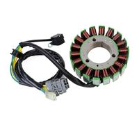 Bobine De Stator Pour Can-am Pour DS250 2008-2016 Pièces De Moteur Pour S31120RCA000 Bobine De Stator De Générateur Bobine De Stator GéNéRateur D’Allumage