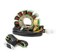Bobine de stator pour Dynamo de Moto CB250 (1991-2008) | Compatible CB250 (1991-2008), Installation Facile, Robuste et Durable, Ajustement précis, Performances Stables