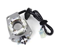 Bobine De Stator Pour Moto YZ125 YZ125 YZ125X YZ 125 X 1C3-85560-00 1C3-85560-10 Stator Charge