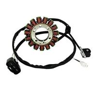 Bobine de stator SKINII pour Grizzly 550 (2009-2014), Grizzly 700 (2007-2015, 2019-2022) et Kodiak 700 (2019-2022) ; Faisceau de câblage et Bobine Inclus.