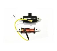 Bobine d'éclairage de Moto Compatible avec Les pièces de Bobine d'alternateur de stator de Carte Puch 17 W 6 V